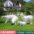 万棠户外仿真北极熊雕塑摆件玻璃钢几何块面熊动物园景区游乐场装饰品 款13
