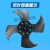 适用于定制空气能 空调5匹外机风轮 轴流风叶 风扇556x167-15 志 556*167*15(黑色叶)+反牙螺丝