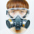 宛丝希防毒口罩防甲醛异味喷漆农药透气防毒呼吸罩口鼻罩半面具 防毒面具