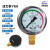 杭州仪表Y100Z压力表储气罐压力容器专用1.01.62.54.0MPa Y60径向02.5MPa