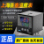 上海亚泰NE-6411-2仪表温控器NE6000-2温控仪NE-5411数 NE64122(N) PT100 400度