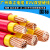 国标珠江电线电缆ZC-BVV95 120 150 185 240平方双塑纯铜阻 国标 240平方 红色 1米