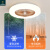 润华年广东中山灯具风扇吸顶灯卧室现代简约电扇灯智能一体餐厅吊扇饭厅 [常规]白色45CM遥控-无导风