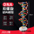 定制适用DNA双螺旋结构模型大号高中分子结构模型60cmJ33306脱氧 DNA双螺旋结构模型(小号)