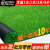 仿真草坪地毯人工假草塑料绿色阳台户外幼儿园铺垫子装饰人造草皮定做 2.5厘米春草(1米宽*2米长)【不掉渣款】
