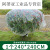 加厚塑料薄膜袋花卉绿植盆栽过冬防冻保温膜袋植物冬季果树防寒罩 1个240240cm