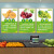 水果店墙面装饰宣传挂画创意果蔬超市装作用修布置广告图海报KT板 5-龙眼 40*60cm(PP背胶纸不带板不包边)