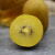 三世橙媛新鲜黄心猕猴金桃西峡猕猴桃奇异果金果应季水果整箱礼盒大果 特大果10枚（100-130g）