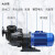 塑料防腐蚀化工耐酸碱自吸泵pp污水马肚泵耐高温电镀可空转大头泵 2HP-1.5KW-1.5寸/DN40-380V
