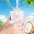 南国海南特产 100%纯椰子水NFC果汁饮料 非浓缩 0脂肪 天然植物电解质 250mL12盒南国椰子水