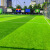 OEING定制人造人工假塑料绿草坪草皮仿真铺垫地板户外足球场地板围挡健 其他规格尺寸
