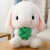 赛翼长耳朵兔子毛绒玩具长耳朵兔子萝卜小白兔公仔抱枕大号可爱布娃娃 白色萝卜 22厘米(约0.13KG)