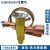 原装EMERSON艾默生热力膨胀阀TRAE-8-10-12-15HCA空调热泵双向R22 TRAE15HCA  (接口16*22)