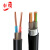 奉缆 ZC-YJV22-0.6/1KV-2*10mm² 国标铜芯阻燃铠装电力电缆 1米