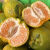 格沃斯（GEWOSI）新鲜采摘绿皮芦柑云南芦柑酸甜口感有籽芦柑农家 10斤中果带箱装