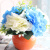 仿真花假花塑料花干花陶瓷花瓶客厅餐桌摆件装饰花 书架隔板仿真 送白花瓶+水蓝绣球囎