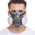 护为佳（HUWEIJIA） HWJ-0014 防尘面具面罩煤矿打磨装修防粉尘 308型+2片滤芯 1套