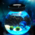 孙凯（SUNKAI）趣味植栽幸福海藻球微景观生态瓶DIY水培植物创意办公室盆栽球藻 【开阳】两颗2岁七彩灯套餐