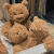黄油小熊玩偶网红巴塞罗熊抱枕毛绒玩具泰迪熊女生安抚玩偶生日礼 巴塞罗熊小号全长28cm