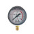 YN60耐震压力表径向0-1.6MPa抗震液压水压气压真空表负压表指针式 0-6MPA