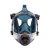 一护 防毒全面具 工业粉尘实验化工喷溅 CMA硅胶全面罩主体 1个