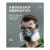 HKFZ防毒防尘工业粉尘面具全面罩喷漆呼吸防护罩防烟全脸 建议搭配购买梯形滤棉100片