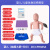 贝傅特 模拟人婴儿 儿童心肺复苏梗塞气道梗塞急救及CPR训练模型 婴儿（触摸大屏+打印） 
