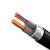 FIFAN 2芯铜电缆线硬线ZC-YJV22电压0.6/1KV铠装地埋线 2*50平方