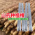 轩之准 种植山药神器模具槽专用的淮山铁棍棒立体浅生长引导1.2加 0.8米中厚28丝100条