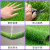 仿真草坪地毯假草皮绿色塑料装饰人工造围挡户外铺垫足球地垫绿植定做 2cm加密款(0.5米宽*2米长)