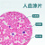 人血涂片红细胞白细胞显像清晰易观察生物显微镜标本切片显微玻片 一片人血涂片(瑞氏染色)