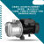 增压水泵BJZ60Hz不锈钢射流式自吸泵喷射泵三相380V220V 国外370w220v/60hz