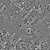 遄运单分散聚甲基丙烯酸甲酯微球 PMMA微球 微塑料（0.05—200微米） 2.5微米 2克