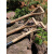 不锈钢大铲子叉子bb铲子移苗器挖土种花种绿植铁锹 不锈钢植树铲