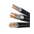 国标YJV铜芯电缆2/3/4/5芯10/16/25/35平方四线地埋铠装电缆 国标铜线YJV3351（10米）