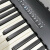 RDEC luolan FP30X电钢琴88键重锤家用初学儿童入门专业考级电子钢琴 FP-30X黑色主机+U架+单踏+配件