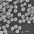 单分散聚苯乙烯磁性微球ps微米/纳米磁珠羧基化生物磁珠偶联 2克磁珠粉末