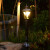 花园别墅灯LED草坪灯 庭院灯户外灯路灯灯具 室外灯高杆灯景观灯 单头小号(78公分)