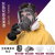 TELLGER应急储备物资防毒面罩全面具防毒口罩滤毒盒KN95过滤棉喷漆自吸过滤式呼吸器PM2.5 防毒 防毒面具整套