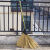 竹扫帚竹子大扫把无叶扫马路工地环卫养殖硬毛竹丝扫把工厂室外用 [常规1.5米] 10把装 多数人选
