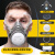 LISM防毒口罩面具全面罩防尘防工业化工喷漆专用防护气体放毒氧气面罩 防尘毒套装+防雾护目镜