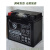 蓄电池RX1S RG3 RT3 RA401 RE560 RC250胶体干电瓶 RT3加强款(赠送万用表+视频指导)