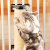 华美龙猫笼挂式猫抓板立式剑麻猫抓柱猫咪蹭毛蹭痒抓痒神器猫用蹭脸玩具 7*40cm(整套)