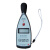 爱华 声级计专业噪声测量仪分贝仪基础工业噪音计  AWA5636型声级计基本型，2级，普通声级计