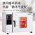 电热鼓风干燥箱实验室真空小型烘干机高温烘箱恒温工业用烤箱 DZF-6020 标配款