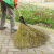 竹扫把农村扫马路庭院专用老式环卫大号扫帚扫雪扫把车间户外笤帚 芒草扫把单个