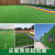 仿真草坪地毯幼儿园人造假草皮装饰阳台户外绿色围挡人工塑料绿植定做 3厘米加密厚夏草10平米+送2平米