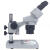 包邮XTJ-4600体视显微镜 10-20X 20-40X 10-30X手机飞线维修检测