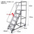 装卸车仓库移动平台梯楼梯登高车梯超市货梯子理货梯车取货凳定制 1.6米平台高(需预订)