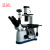 BM上海彼爱姆生物显微镜BM-37XBD（倒置）